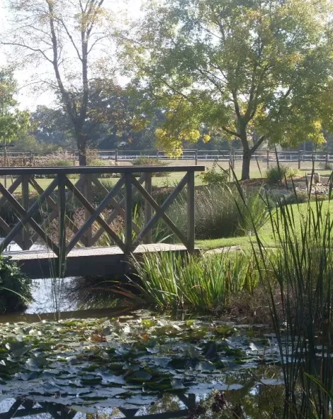 Terrasse pergola bois