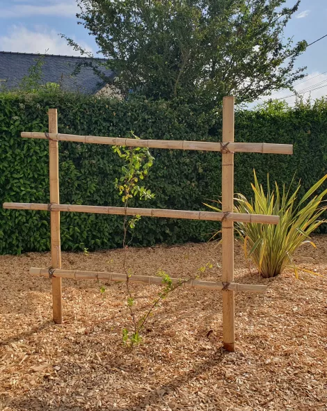 Pergola pour terrasse et jardin en  Loire-Atlantique